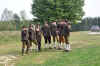 DSC_0008.jpg (291557 Byte)
